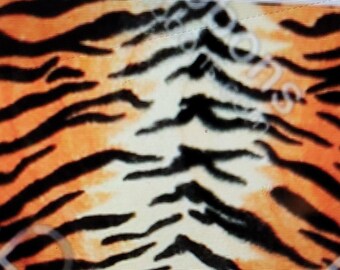 Può includere: Primo piano di un tessuto con stampa a tigre con strisce arancioni e nere.