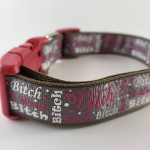 Naughty Dog Collar, leash and key fob/SBDM/Bitch