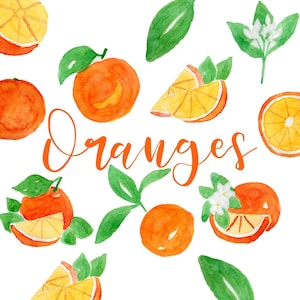Orange clipart, watercolor fruit, citrus clipart, fruit preparations, orange blossom, summer clipart, burnt orange