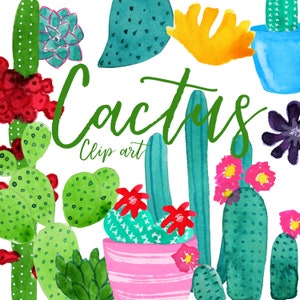 Cactus acquerello clipart, cactus clipart, cactus scrapbooking, download digitale, uso commerciale.