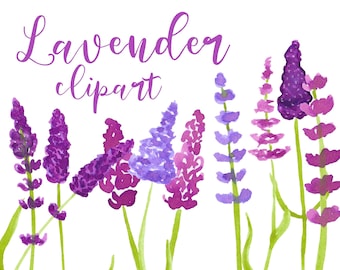 Lavender clipart, lavender flowers png, lavender watercolor, lavender field, summer, lavender scent, field of Provence, commercial use.
