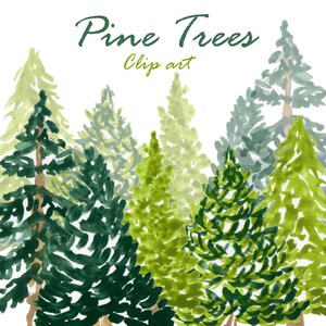 Alberi acquerello clip art, albero clipart, alberi stampabili, albero di pino, conifera, foresta clipart, illustrazione di alberi