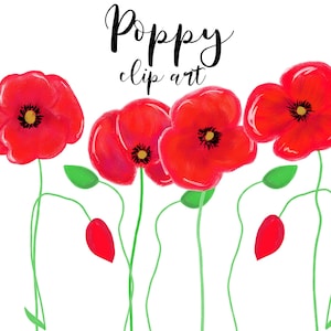 Papavero clipart, fiore rosso, acquerello rosso, primavera, elementi floreali, papavero rosso, matrimonio, invito, country chic