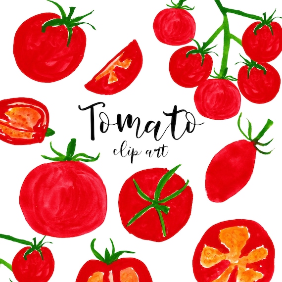 Tomaten Clipart Rote Tomate Aquarell Tomate Clipart Gemuse Etsy