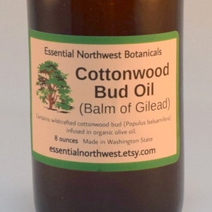 Cottonwood Bud Oil  8 oz. - Balm of Gilead - Massage Oil -