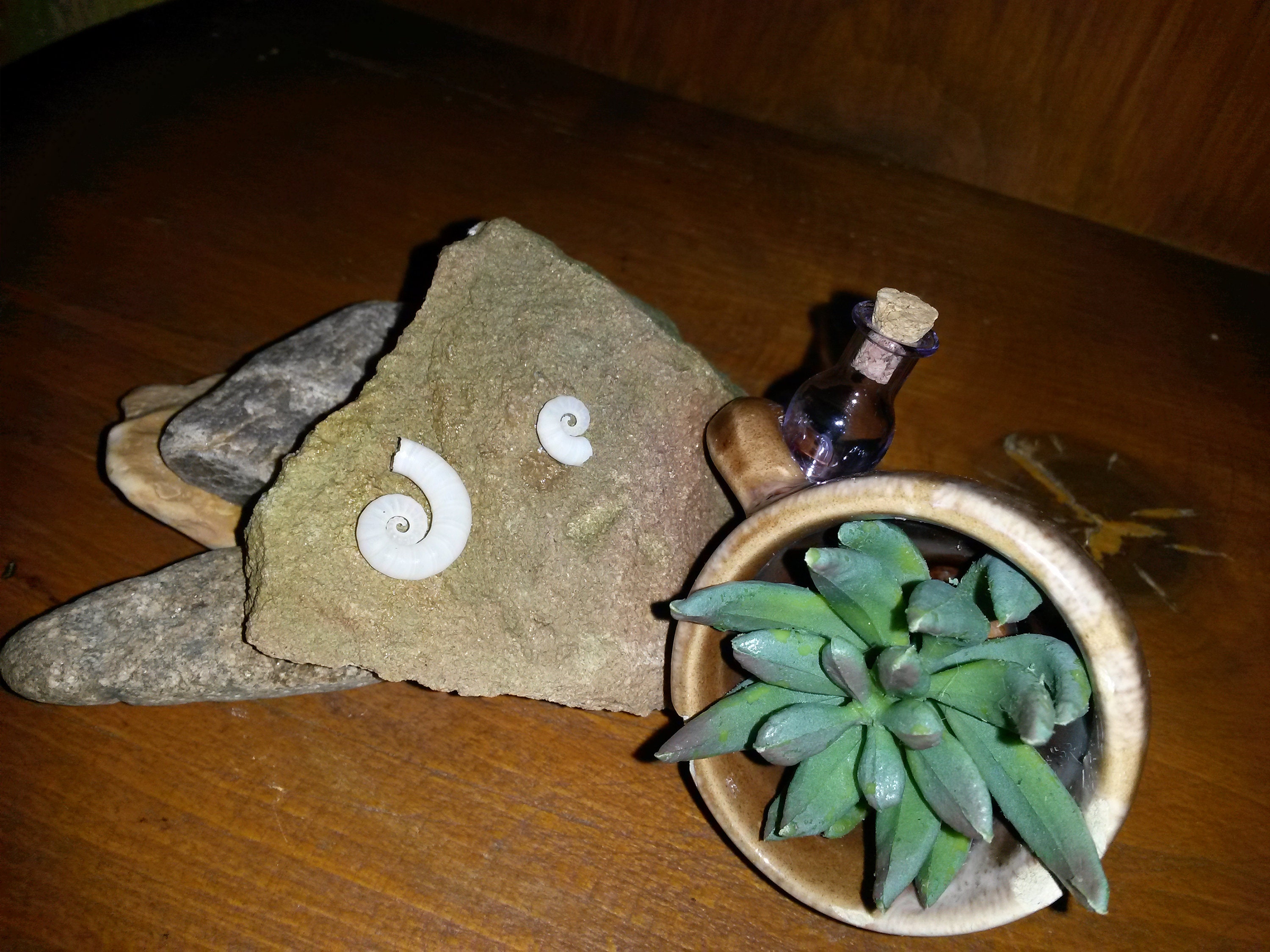 Décoration Aquariums et Bassins