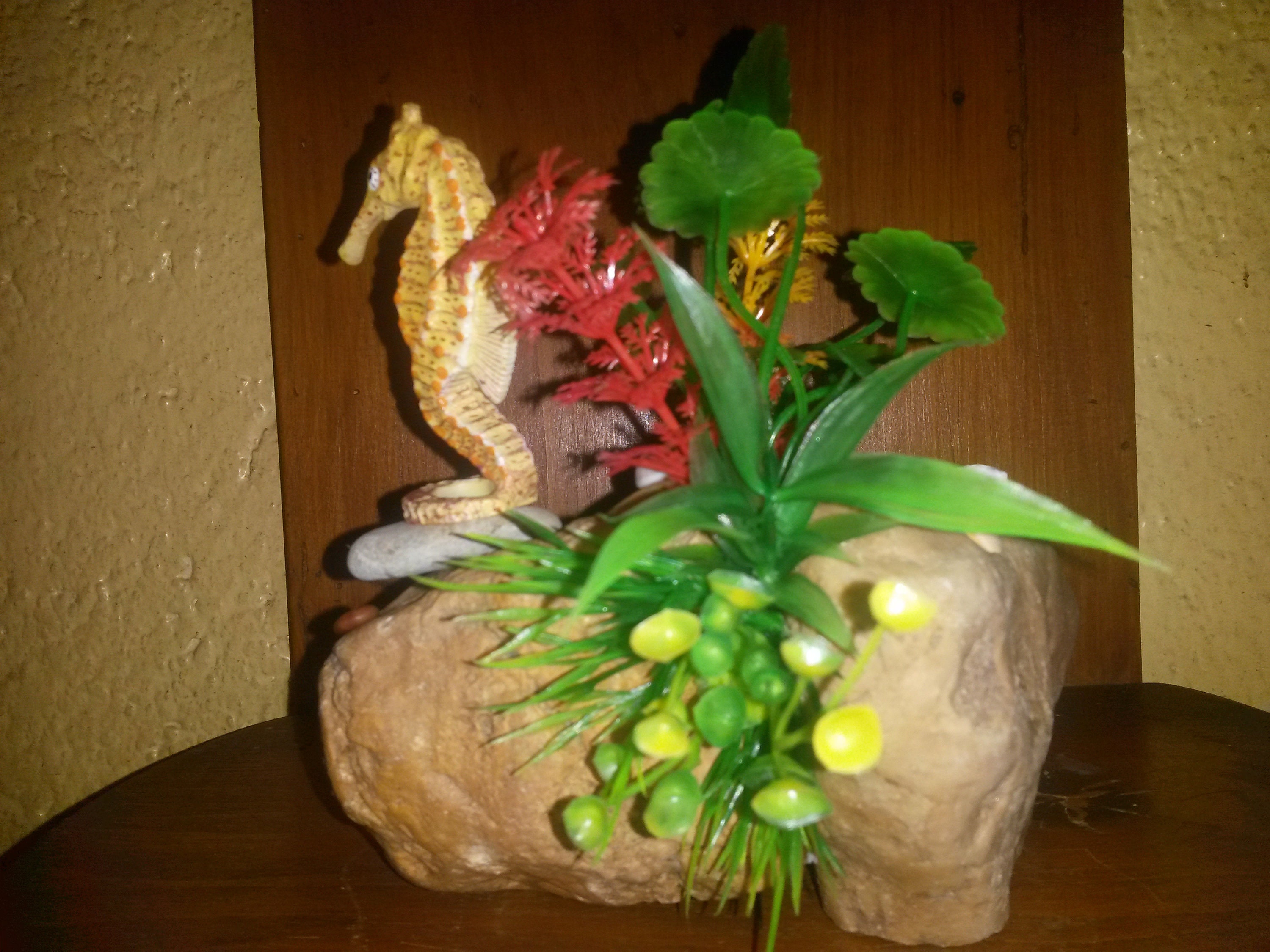 Décoration Aquariums et Bassins