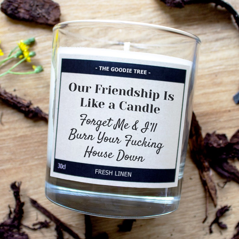 Our Friendship is Like A Candle, Me & I'll Burn Your Fucking