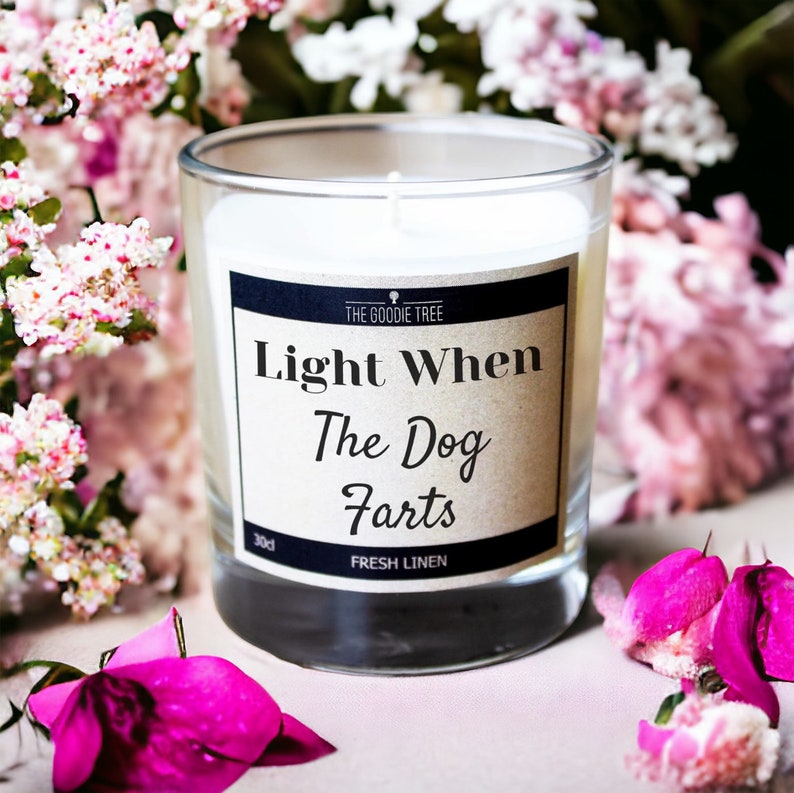 Light When The Dog Farts Scented Candle Free UK Delivery/Gift Box Funny Gift Idea Gifts For Him, Her, Mum, Dad, Boyfriend, Girlfriend image 6