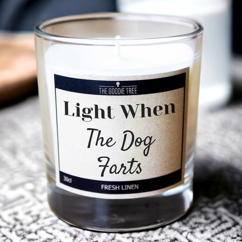 Light When The Dog Farts Scented Candle Free UK Delivery/Gift Box Funny Gift Idea Gifts For Him, Her, Mum, Dad, Boyfriend, Girlfriend image 3