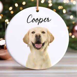 Personalized Pet Ornament, Custom Dog Christmas Ornament, Pet Ornament Using Photo, Cat Christmas Photo Ornament, Pet Portrait Name Gift