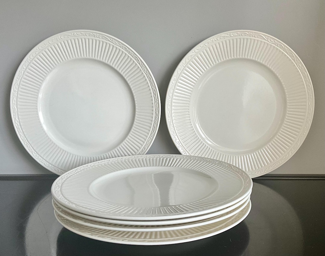 Set of 6 Mikasa Italian Countryside Dinner Plates Free Shipping - Etsy