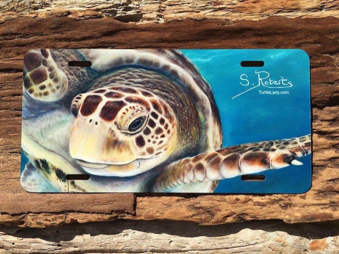 Turtle License Plates Etsy