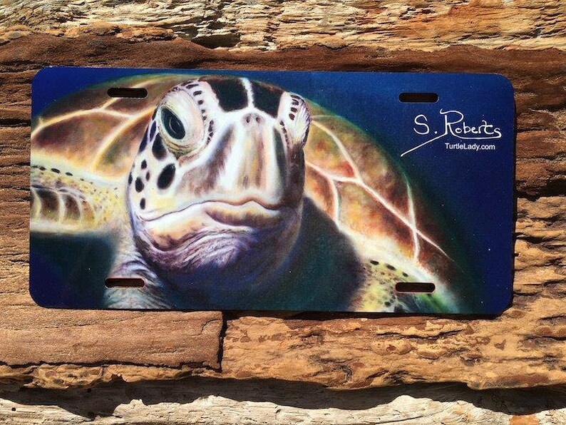 Turtle License Plates Etsy