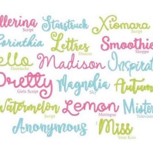 Pu&ograve; includere: Una collezione di caratteri in corsivo ricamati in rosa, azzurro e verde lime. Le parole visualizzate includono Ballerina, Starstruck, Xiomara, Corinthia, Lettres, Smoothie, Hello, Madison, Inspiration, Pretty, Magnolia, Autumn, Watermelon, Lemon, Mister, Anonymous e Miss, con un piccolo logo circolare nell'angolo in alto a destra.