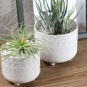 Footed Moon Phase Planter Ceramic Plant Pot, Footed/Legs, Moon Constellation Space Inspired, Tillandsia, Air Plants, Indoor House Plant image 6