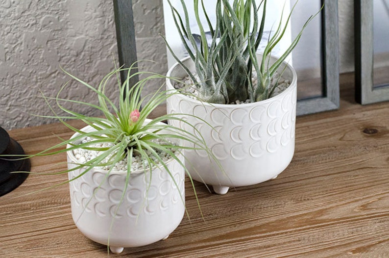 Footed Moon Phase Planter Ceramic Plant Pot, Footed/Legs, Moon Constellation Space Inspired, Tillandsia, Air Plants, Indoor House Plant image 6