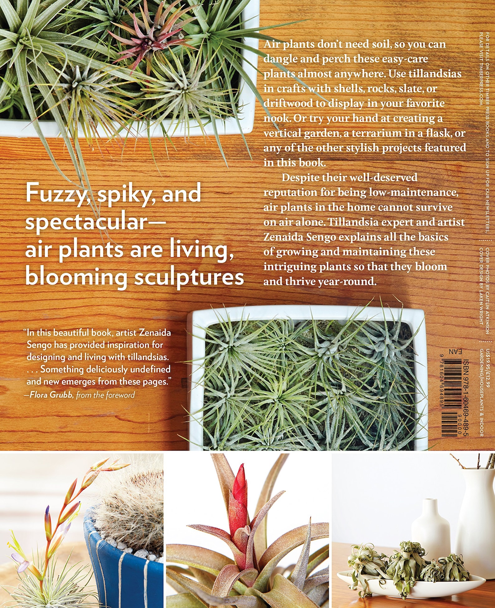 Book: Air Plants The Curious World of Tillandsia | Etsy