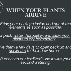 May include: A dark gray informational graphic with white text titled WHEN YOUR PLANTS ARRIVE. It instructs to bring packages inside, unpack and water plants, allow them to dry, let them acclimate for a few days, and use fertilizer at the second watering.