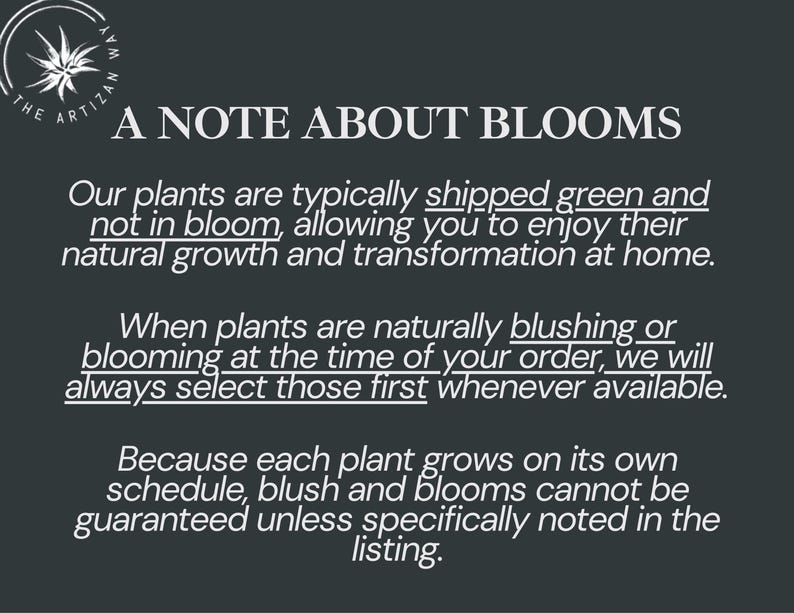 May include: A dark gray informational graphic with white text titled A NOTE ABOUT BLOOMS. It explains that plants are typically shipped green, but blooming plants are selected when available. It notes that growth schedules vary and blooms are not guaranteed.
