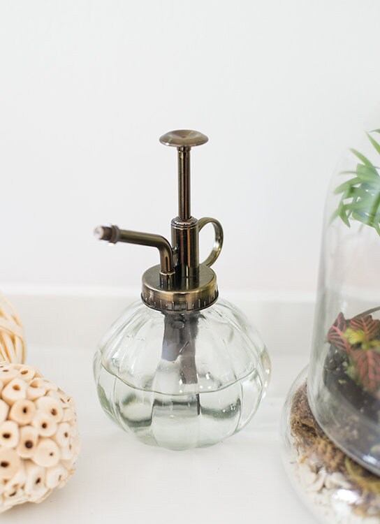 Vintage Plant Mister | Indoor Gardening, Air Plants, Succulents, Fern…
