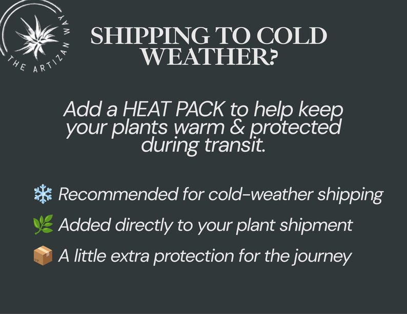 Op de afbeelding: Een donkergrijze informatieve afbeelding met witte tekst: SHIPPING TO COLD WEATHER? Add a HEAT PACK to help keep your plants warm & protected during transit. Bevat iconen van een sneeuwvlok, een groene planttak en een bruine kartonnen doos.