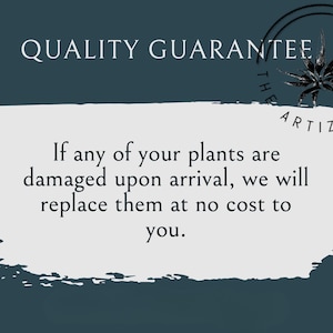 May include: A dark teal graphic with a white brushstroke background containing the text QUALITY GUARANTEE. Below, the text reads: If any of your plants are damaged upon arrival, we will replace them at no cost to you. A logo with a plant icon reads THE ARTIZAN WAY.