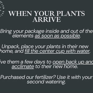 Op de afbeelding: Een donkergrijze informatieve afbeelding met witte tekst getiteld WHEN YOUR PLANTS ARRIVE. Het geeft instructies om pakketten naar binnen te brengen, planten uit te pakken, de middelste beker met water te vullen, ze te laten acclimatiseren en meststof te gebruiken.