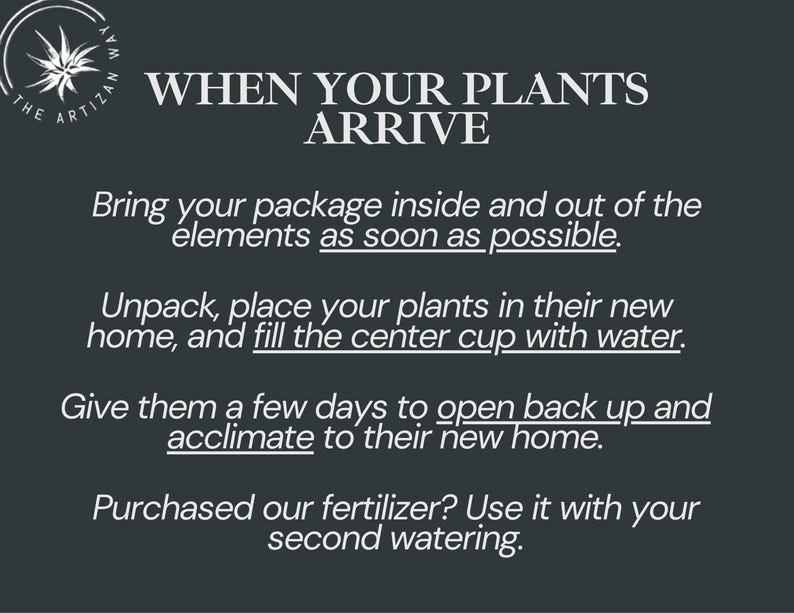 Op de afbeelding: Een donkergrijze informatieve afbeelding met witte tekst getiteld WHEN YOUR PLANTS ARRIVE. Het geeft instructies om pakketten naar binnen te brengen, planten uit te pakken, de middelste beker met water te vullen, ze te laten acclimatiseren en meststof te gebruiken.