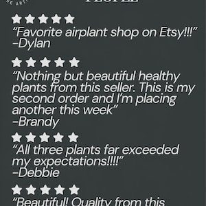 May include: A dark gray graphic featuring the text LOVED BY PLANT PEOPLE and THE ARTIZAN WAY logo. It displays four customer reviews, each with five white stars. The reviews include quotes from Dylan, Brandy, Debbie, and Jessica praising the air plants.