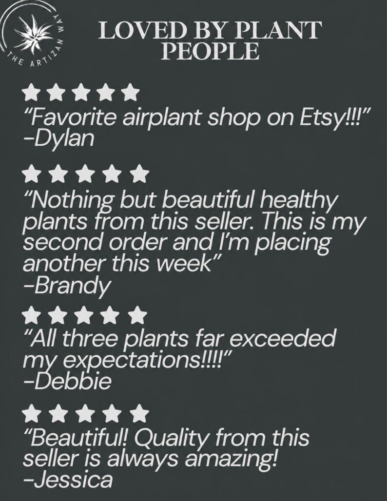 May include: A dark gray graphic featuring the text LOVED BY PLANT PEOPLE and THE ARTIZAN WAY logo. It displays four customer reviews, each with five white stars. The reviews include quotes from Dylan, Brandy, Debbie, and Jessica praising the air plants.