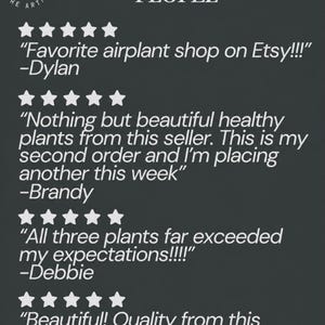 May include: A dark gray graphic featuring the text LOVED BY PLANT PEOPLE and THE ARTIZAN WAY logo. It displays four customer reviews, each with five white stars. The reviews include quotes from Dylan, Brandy, Debbie, and Jessica praising the air plants.