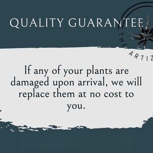 Op de afbeelding: Een donkerblauwe grafische afbeelding met een witte penseelstreek-achtergrond met de tekst QUALITY GUARANTEE. Daaronder staat de tekst: If any of your plants are damaged upon arrival, we will replace them at no cost to you. Een logo met een plantpictogram bevat de tekst THE ARTIZAN WAY.