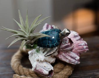 Sea Turtle with Tillandsia