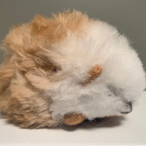May include: A plush toy shaped like a guinea pig with brown and white fur. The toy is curled up in a ball.