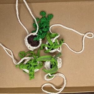 May include: Crocheted hanging plant decorations. The plants are green with white pots and brown soil. The hanging cords are white. The plants are arranged in a brown box.
