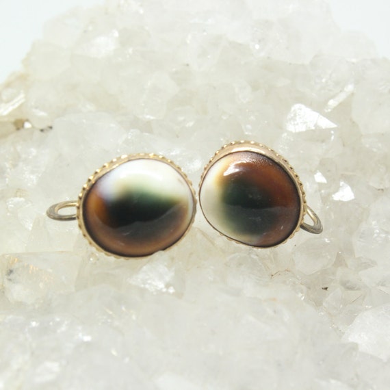 Antique Victorian Operculum Shell 12K 