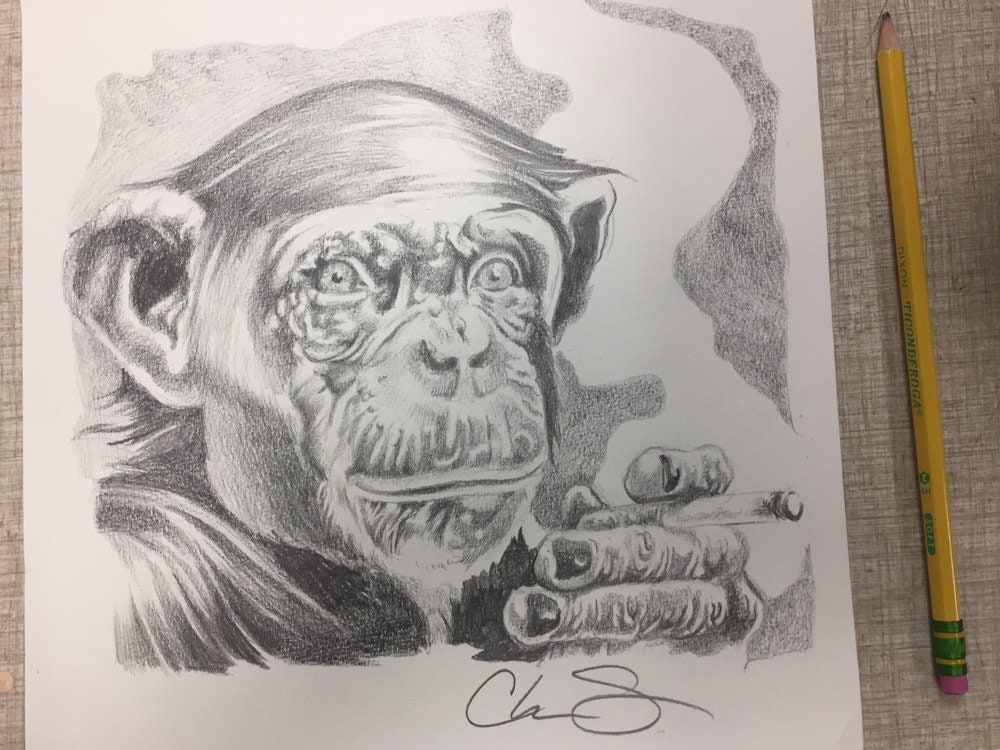 pencil-art-macacos-09  Animal portraits art, Monkey art, Pencil drawings  of animals