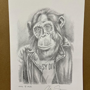 punk chimp in a leather jacket signed original pencil drawing