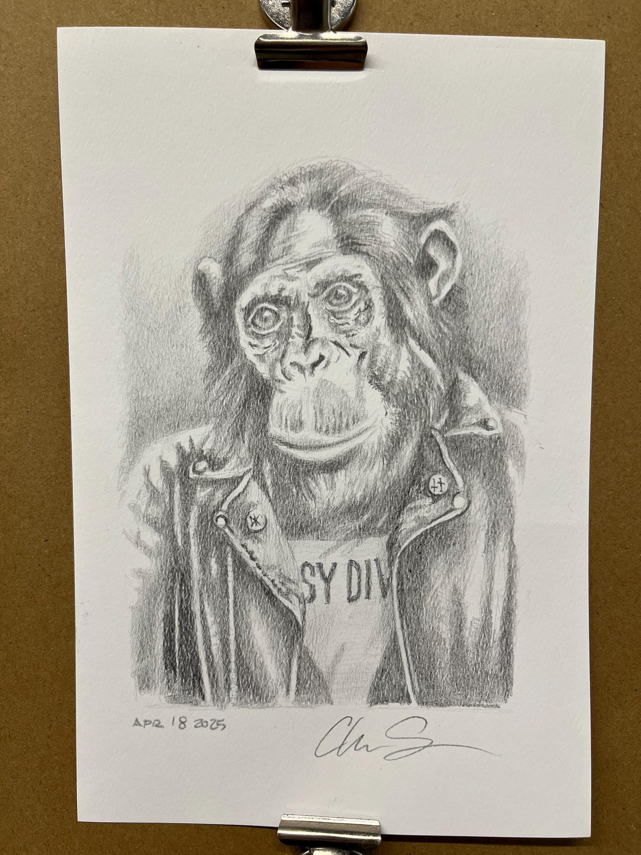 Punk Chimp in a Leather Jacket Signed Original Pencil Drawing - Etsy