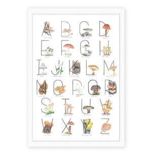 Mushroom Alphabet Poster