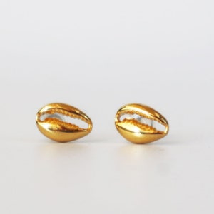 Gold cowrie shell Earrings: Titanium Post Studs, Minimalist Jewelry