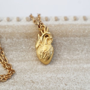 Realistischer Anhänger mit Herzmotiv, Anhänger zum Valentinstag, seltsame Geschenke, bizarrer Schmuck, Schmuck für Medizinstudenten