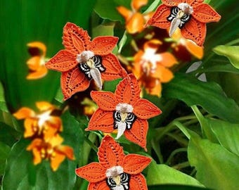 Neomoorea Orchid Crochet Pattern: Butterfly flower Tutorial for Bouquet Brooch Applique