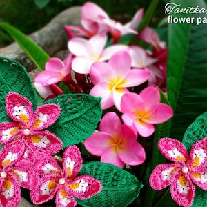 Crochet Plumeria Flower Pattern: Frangipani flowers for Applique Bouquet Decoration (PDF Pattern)