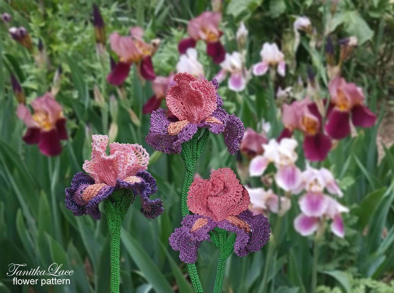 May include: Handmade crochet iris flowers in shades of pink, purple, and green. The flowers have detailed petal work and are set against a blurred background of similar flowers. The text "Tanitka Lace flower pattern" is visible.