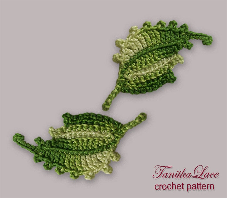 Crochet Patterns Flower Leaves set 4in1 Crochet Tutorials How to make Green leaf applique pattern Tree leaves patterns image 3