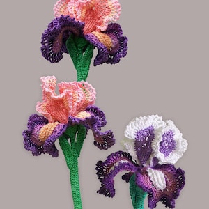 May include: Crocheted iris flowers in shades of pink, purple, and white with green stems. The flowers have detailed petal work and are arranged against a neutral background. The text "Tanitka Lace flower pattern" is in the upper right corner.