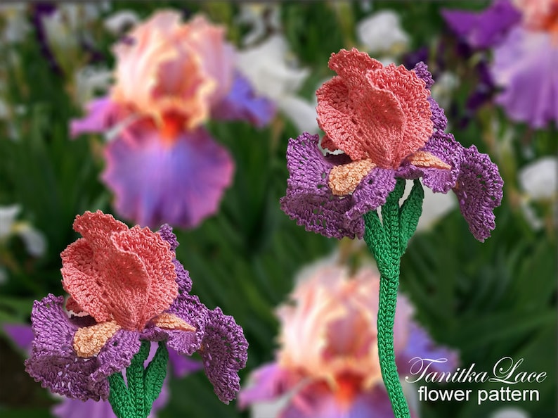 May include: Crocheted iris flower pattern in shades of coral, purple, and green. The flower petals are a mix of coral and purple, with a green stem. The background features blurred iris flowers. The text "Tanitka Lace flower pattern" is visible.