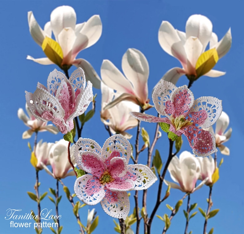 May include: A display of handmade crochet magnolia flowers with white petals and pink centers, set against a backdrop of real magnolia blooms and a clear blue sky. The image includes the text "Tanitka Lace flower pattern".